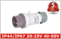 Innen3 Niederspannungs-Stecker und Sockel 40V 50V, Polen Standard IEC309